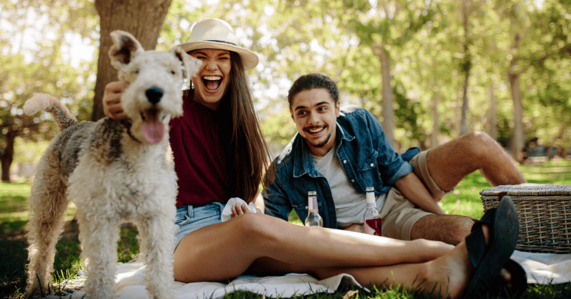 Pet-Friendly Places And Dog Parks