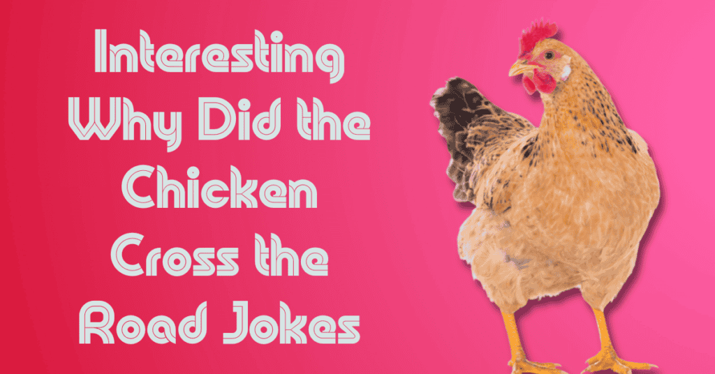 Interesting Why Did the Chicken Cross the Road Jokes