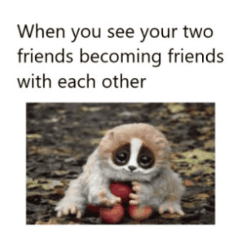 Memes on School-Going Kids