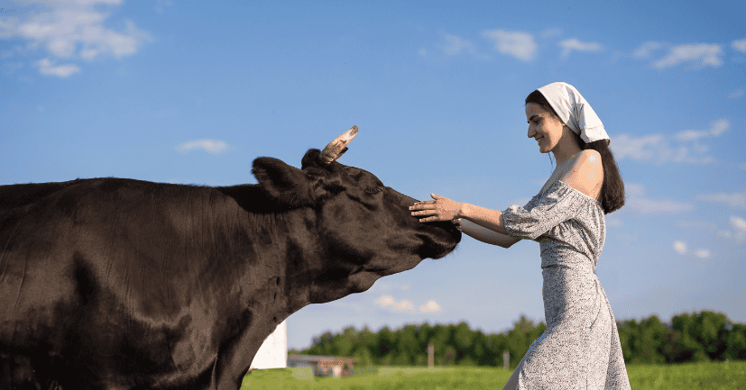 Funny Trivia Questions About Animals