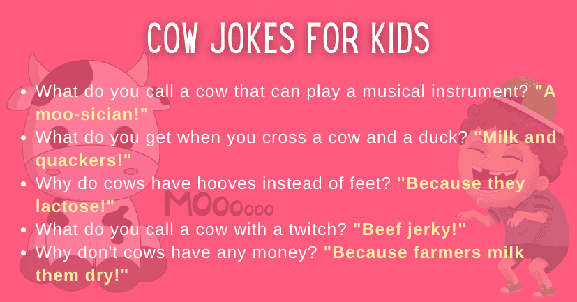 Cow Jokes For Kids