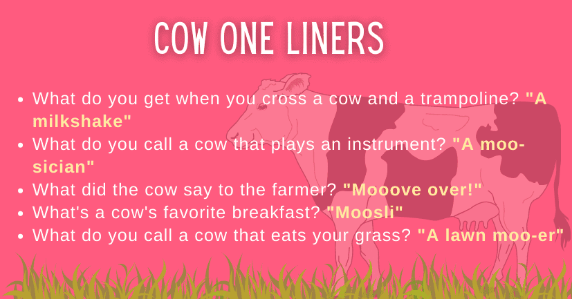 Cow One Liners