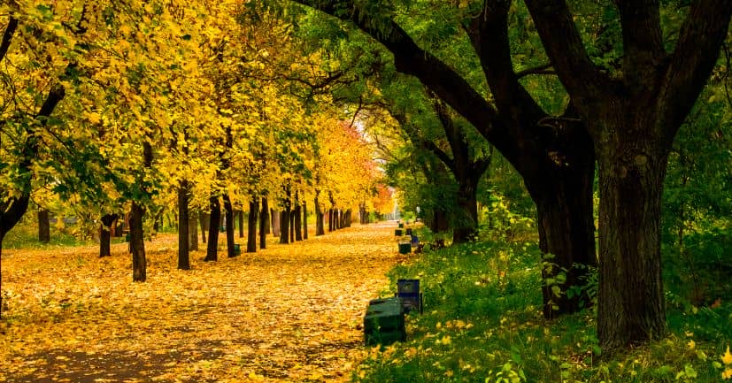 Difficult Fall Trivial Questions