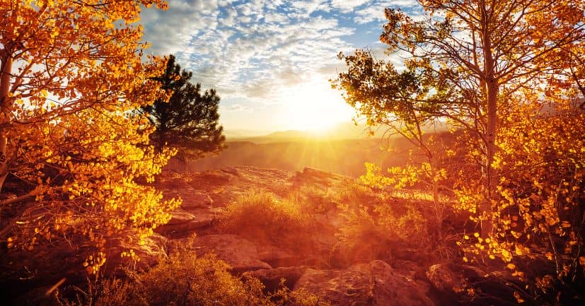 Easy Fall Trivia Questions