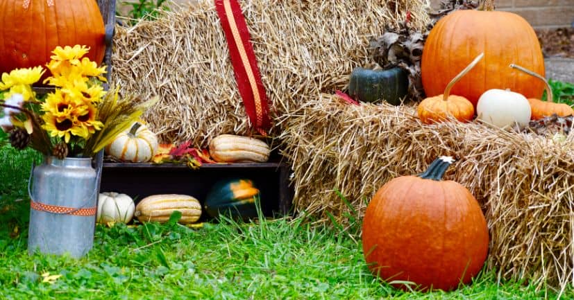 Trivia Questions About Fall Festivals