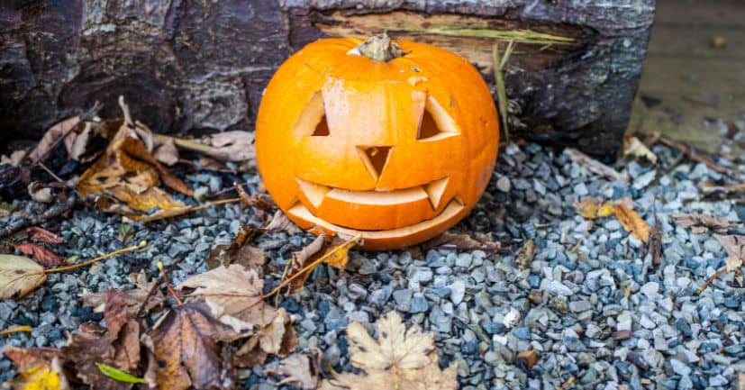 True or False Fall Trivia Questions