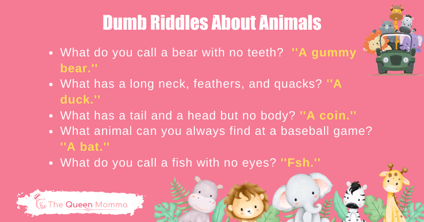 Dumb Riddles About Animals